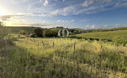 Estate in Magliano in Toscana, Tuscany, Italy 1