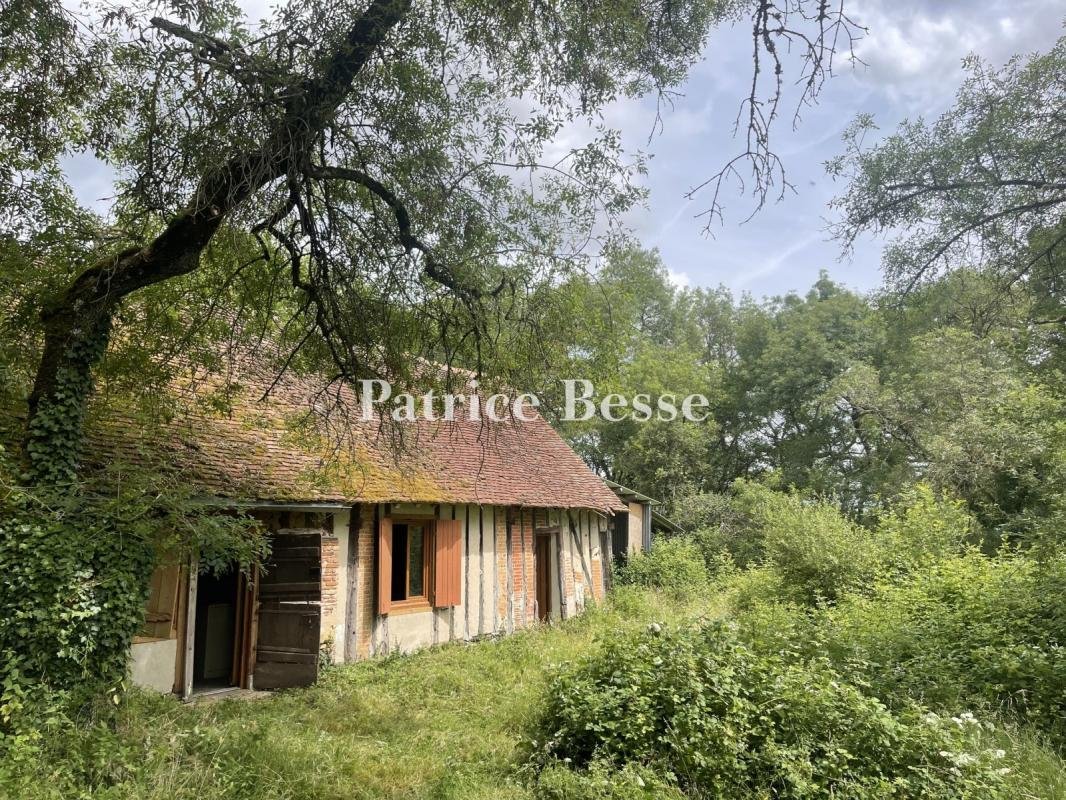 Land in Salbris, Zentrum-Loiretal, Frankreich 3 - 18225357