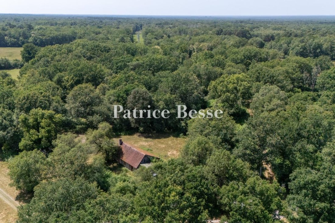 Land in Salbris, Zentrum-Loiretal, Frankreich 1 - 18225357
