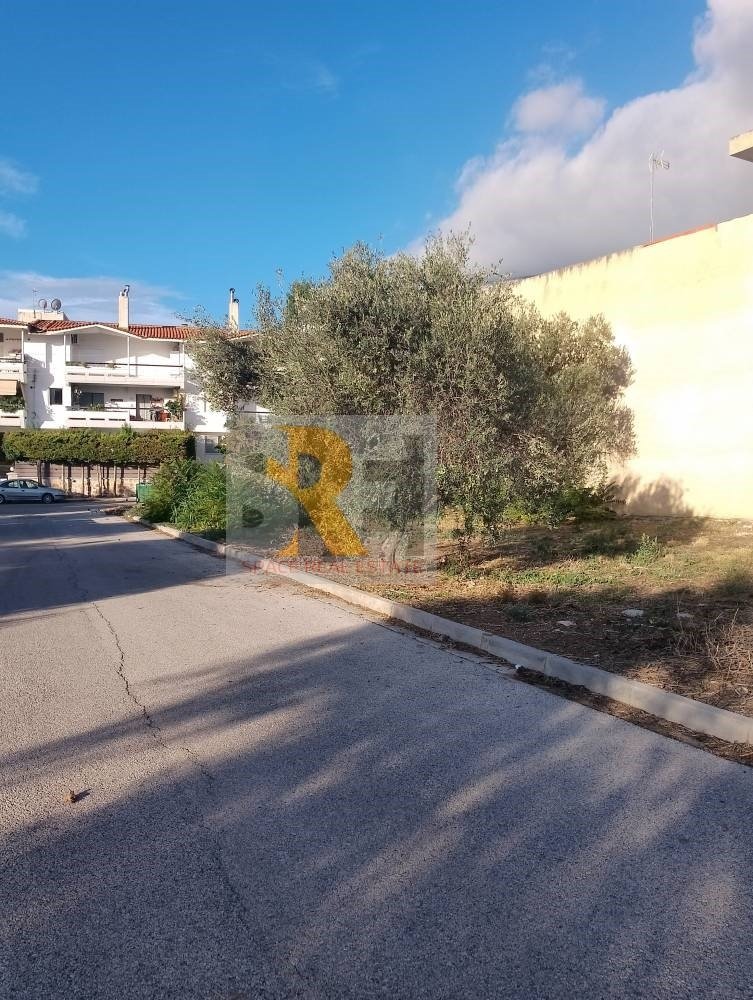 Land in Paiania, Attica, Greece 4 - 18232101