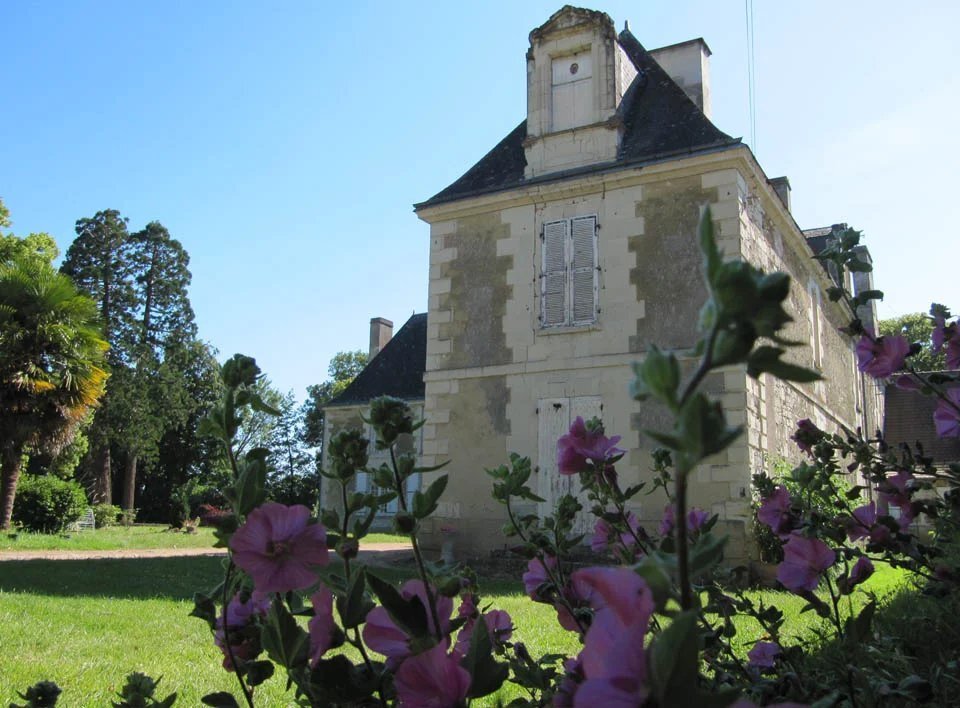 Castle in Poitiers, Nouvelle-Aquitaine, France 3 - 18227424