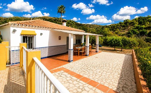 Finca in Estepona, Andalusia, Spain 1