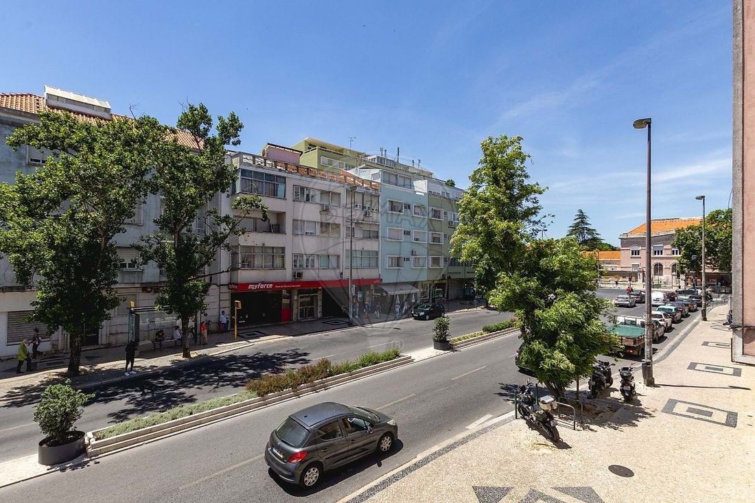 Apartment in Alvalade, Lisbon, Portugal 5 - 18231384