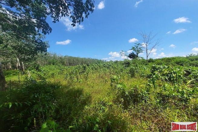 Land in Thep Krasatti, Phuket, Thailand 2 - 18228057