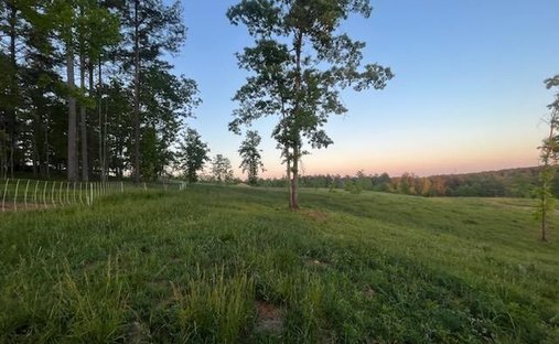 Terreno a Dahlonega, Georgia, Stati Uniti 1