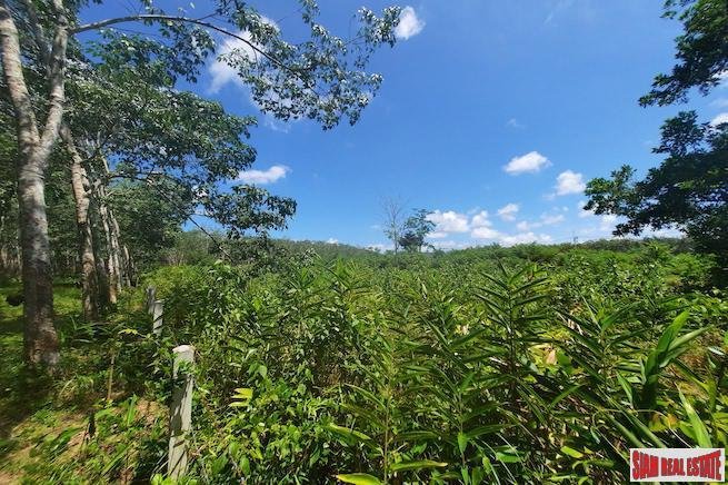 Land in Thep Krasatti, Phuket, Thailand 3 - 18228057