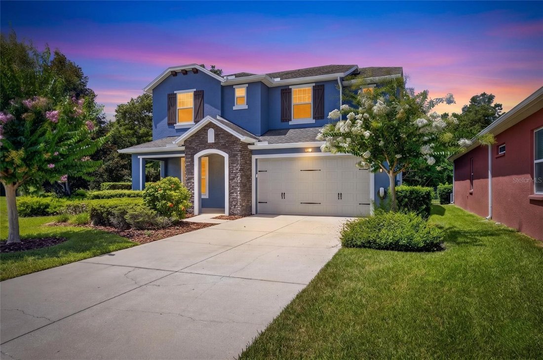 House in Lutz, Florida, United States 1 - 18226434