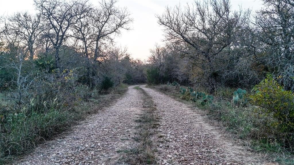 Land in Cedar Creek, Texas, United States 1 - 18223634