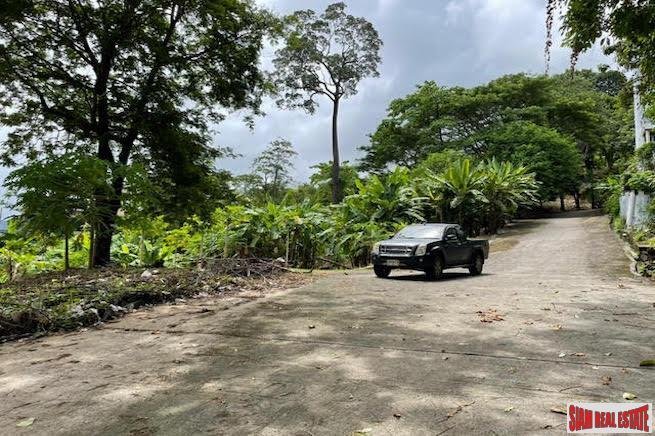 Land in Pa Tong, Phuket, Thailand 3 - 18228157