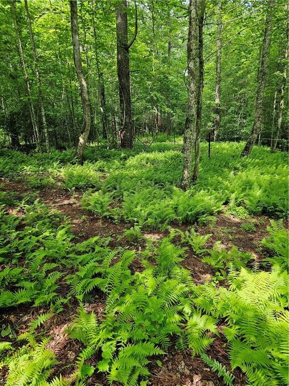 Land in Dahlonega, Georgia, United States 2 - 17954719