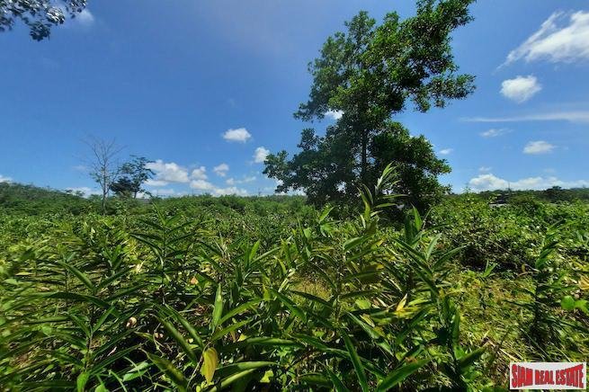 Land in Thep Krasatti, Phuket, Thailand 5 - 18228057