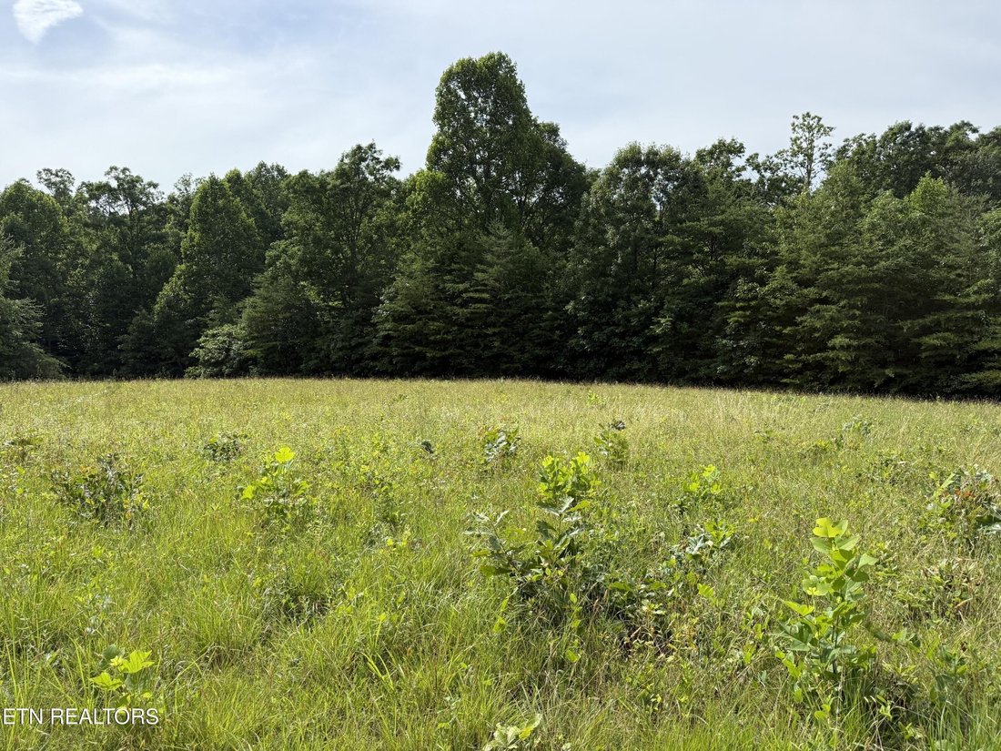 Land in Crossville, Tennessee, United States 2 - 18230492