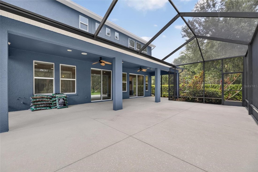 House in Lutz, Florida, United States 5 - 18226434