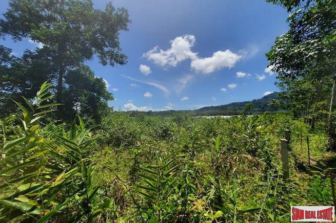 Land in Thep Krasatti, Phuket, Thailand 1 - 18228057