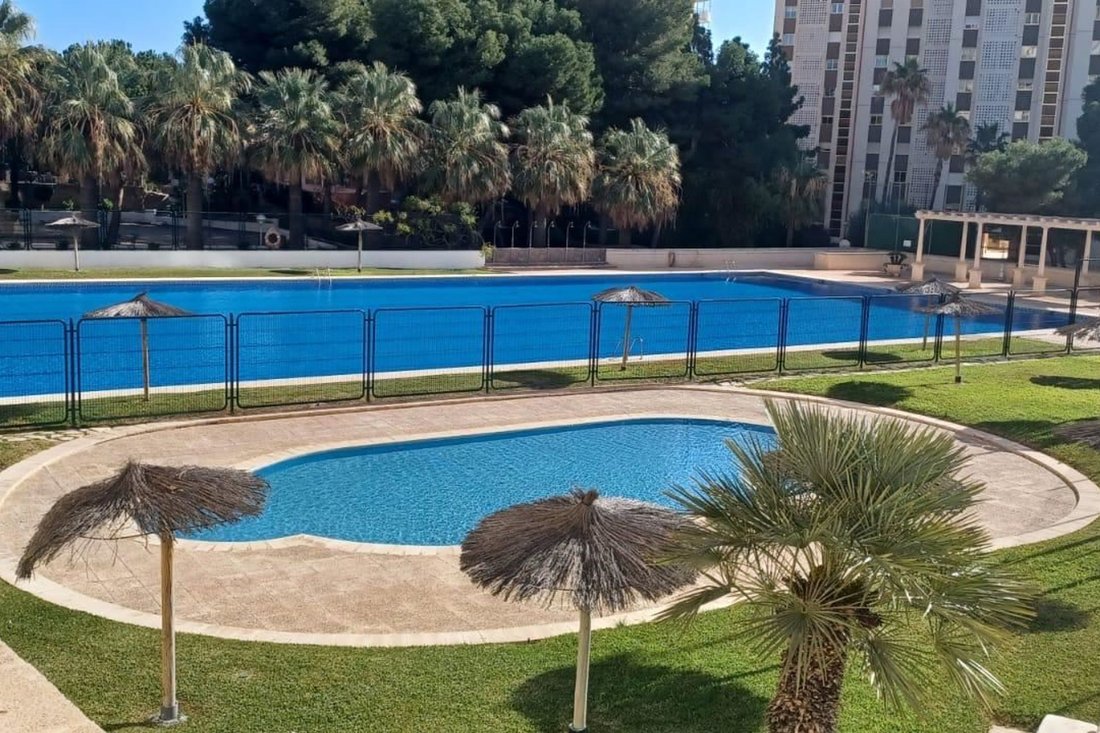 Apartment in Alicante, Valencian Community, Spain 3 - 18223810