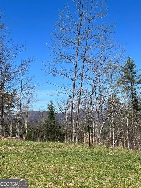 Land in Dahlonega, Georgia, United States 5 - 17954718