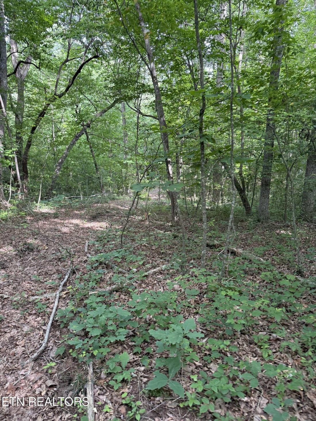 Land in Crossville, Tennessee, United States 5 - 18230492