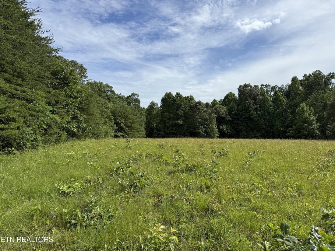 Land in Crossville, Tennessee, United States 1 - 18230492