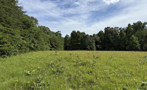 Land in Crossville, Tennessee, United States 1
