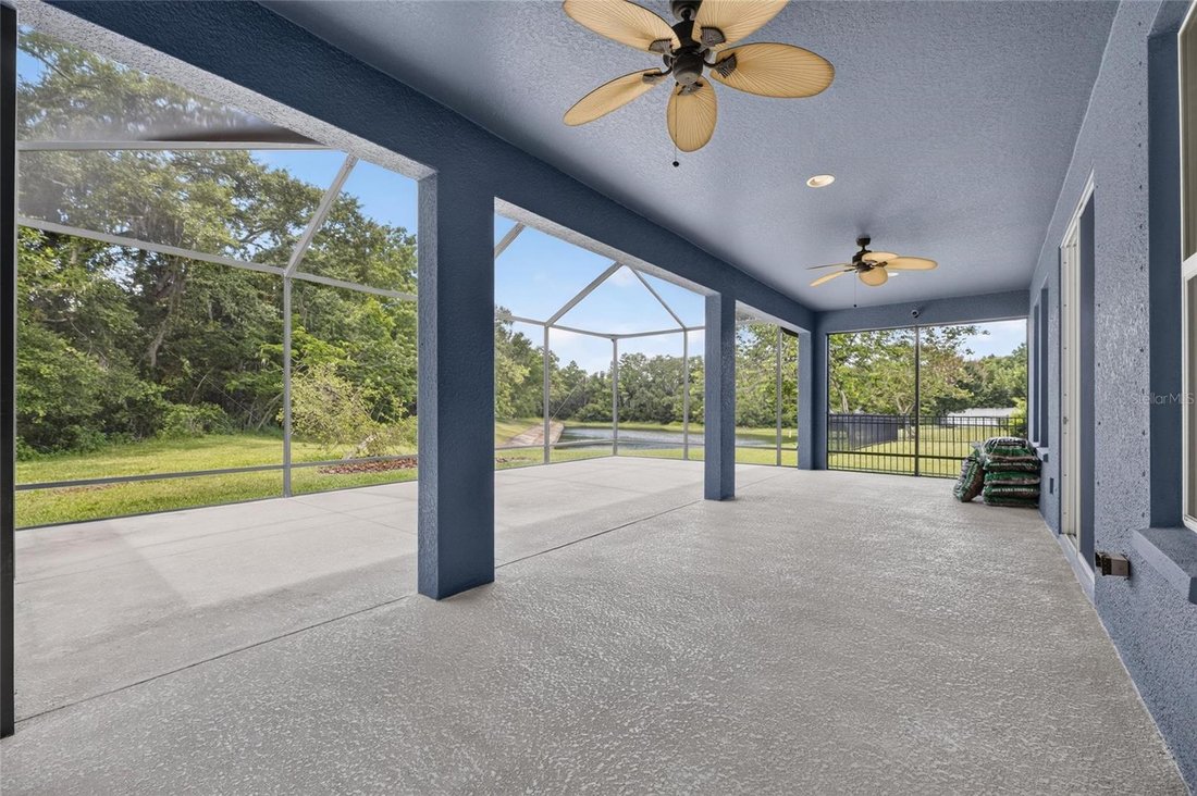 House in Lutz, Florida, United States 3 - 18226434