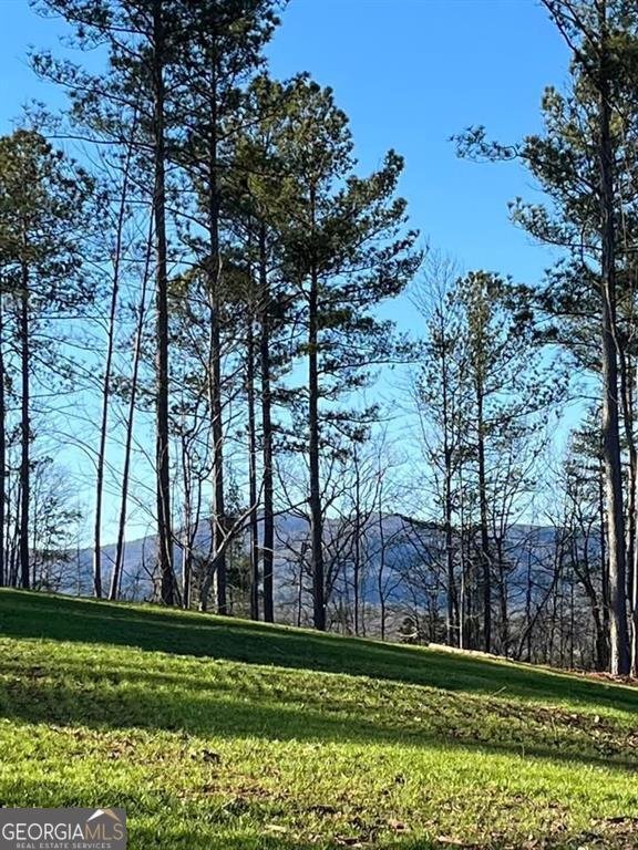 Land in Dahlonega, Georgia, United States 4 - 17954718