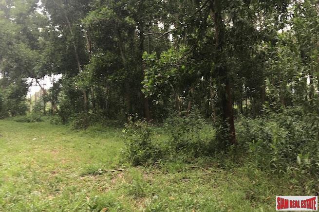 Land in Tambon Khok Kloi, Phang-nga, Thailand 2 - 18228045