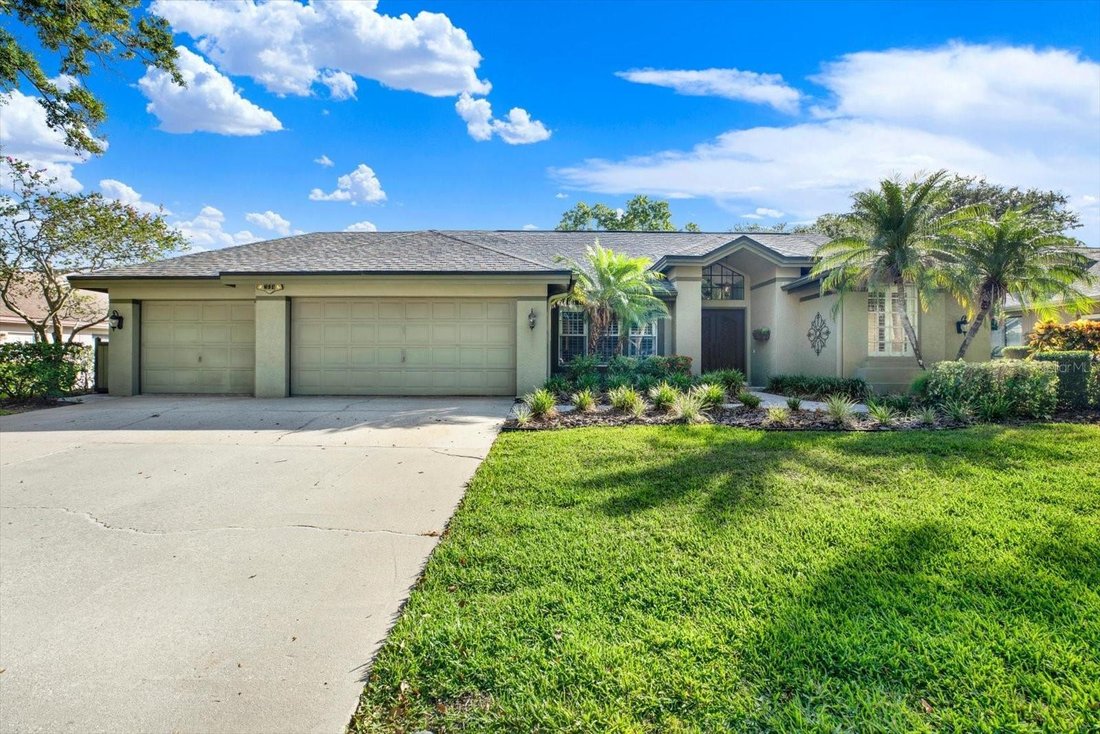 House in Palm Harbor, Florida, United States 1 - 18226865
