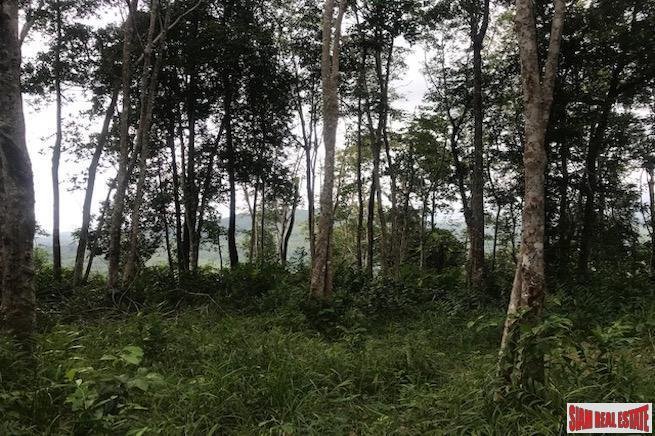 Land in Phuket, Phuket, Thailand 5 - 18227743