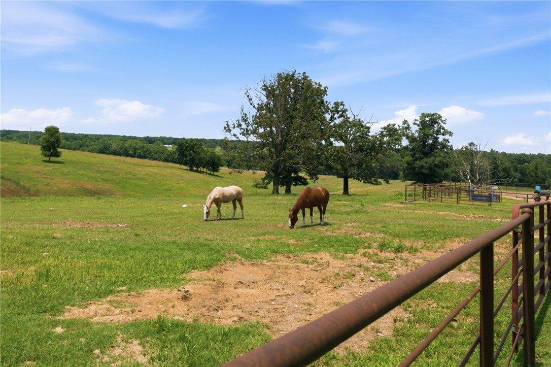 House in Gentry, Arkansas, United States 4 - 18225773