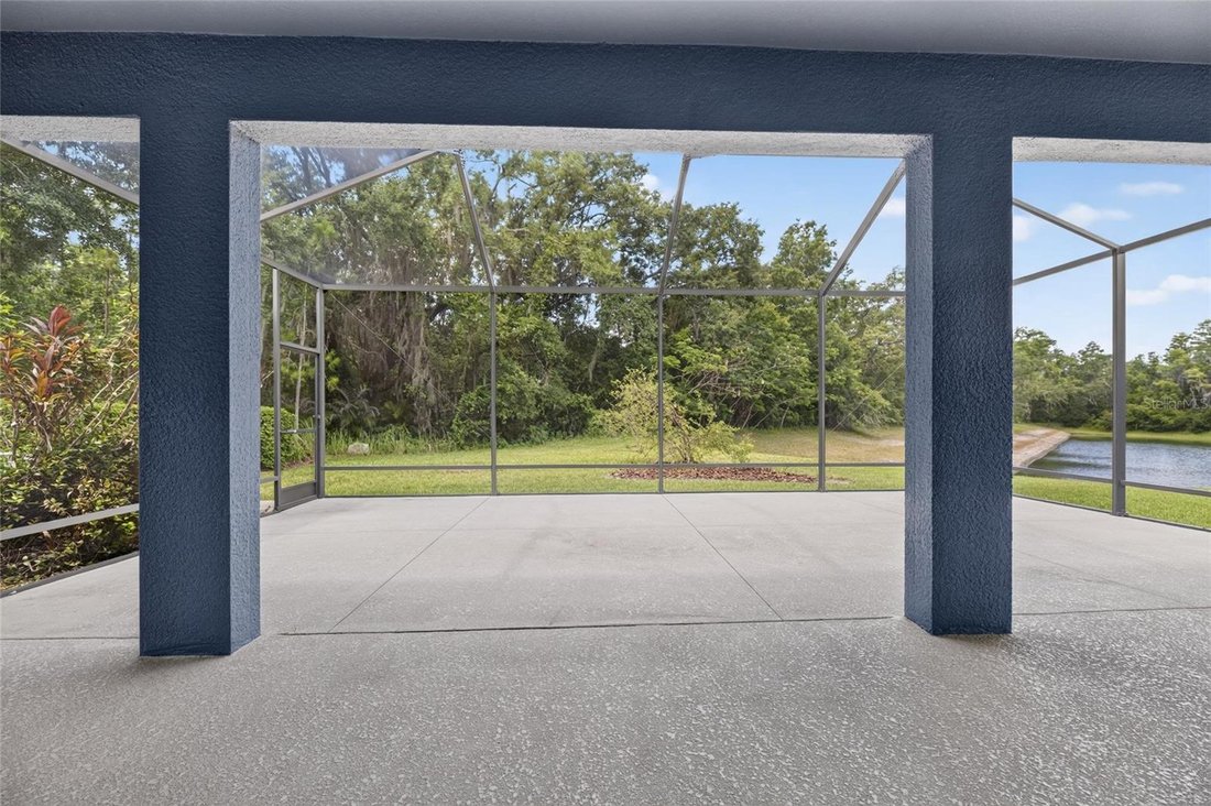 House in Lutz, Florida, United States 4 - 18226434