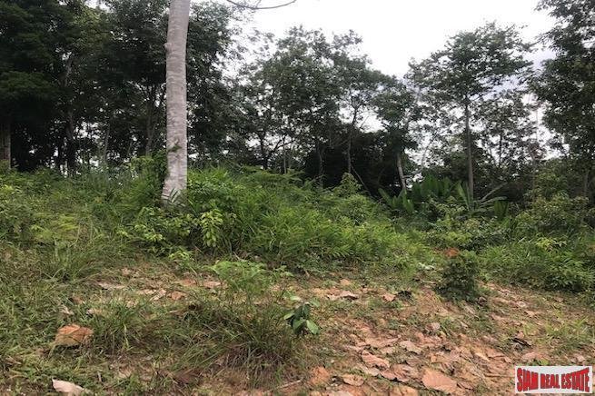 Land in Phuket, Phuket, Thailand 3 - 18227743