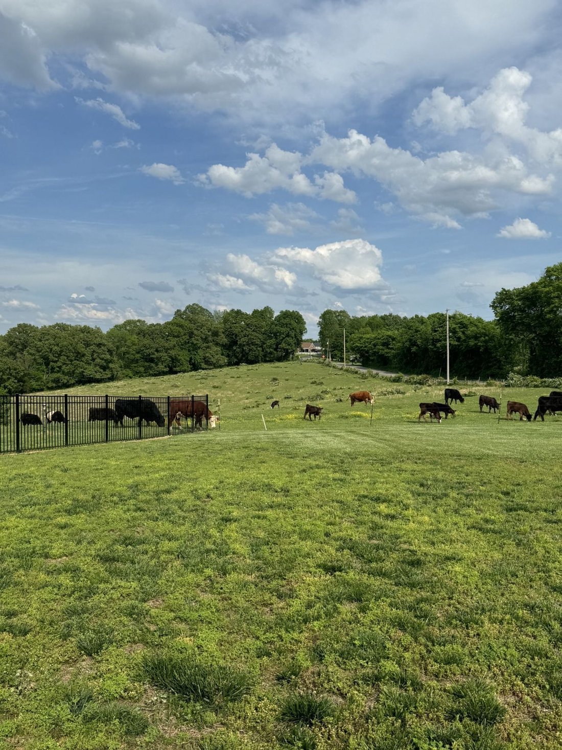 House in Clarksville, Tennessee, United States 5 - 18229088