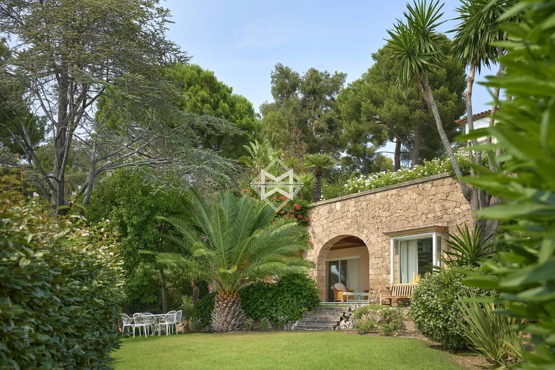 Villa in Cannes, Provence-Alpes-Côte d'Azur, France 4 - 18224175