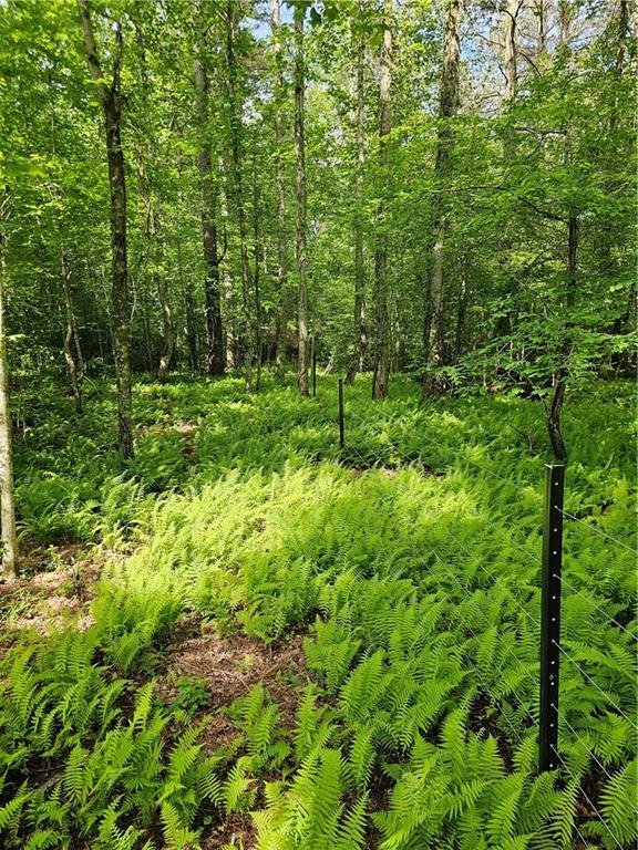 Land in Dahlonega, Georgia, United States 3 - 17954719