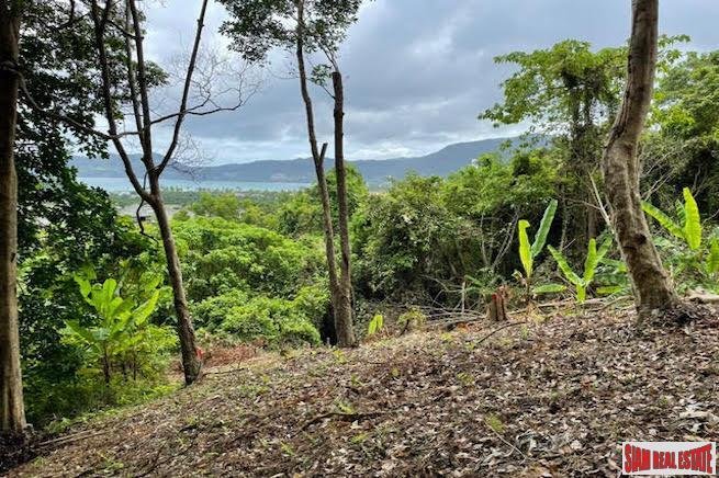 Land in Pa Tong, Phuket, Thailand 1 - 18228157