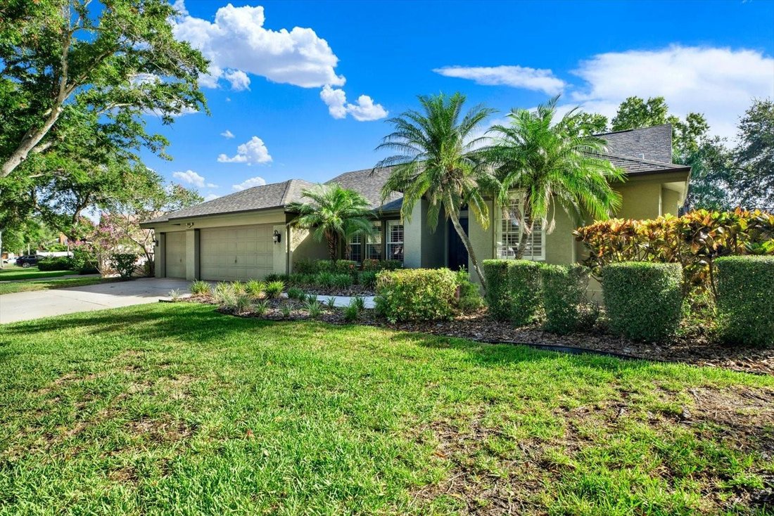 House in Palm Harbor, Florida, United States 2 - 18226865