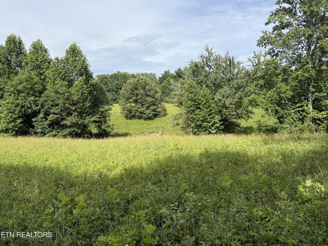 Land in Crossville, Tennessee, United States 4 - 18230492