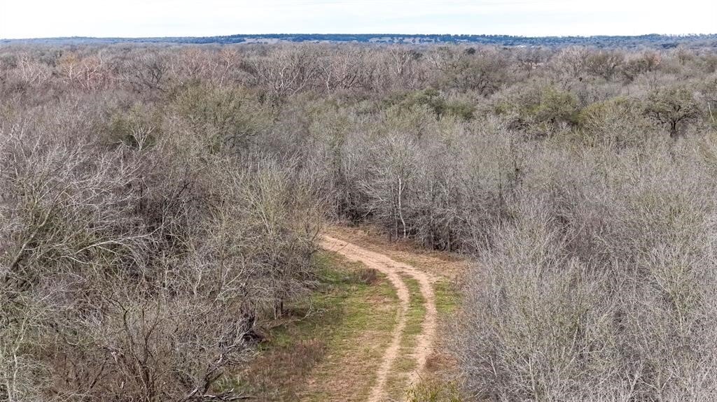Land in Smithville, Texas, United States 5 - 18223610