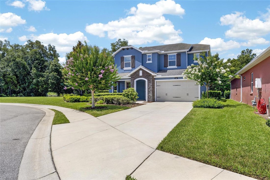 House in Lutz, Florida, United States 2 - 18226434