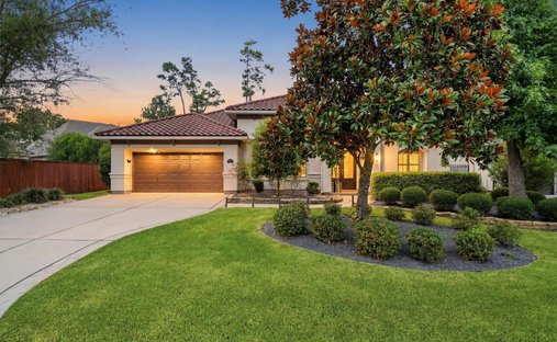 House in Spring, Texas, United States 1