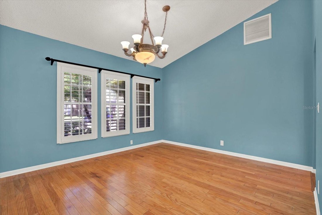 House in Palm Harbor, Florida, United States 4 - 18226865