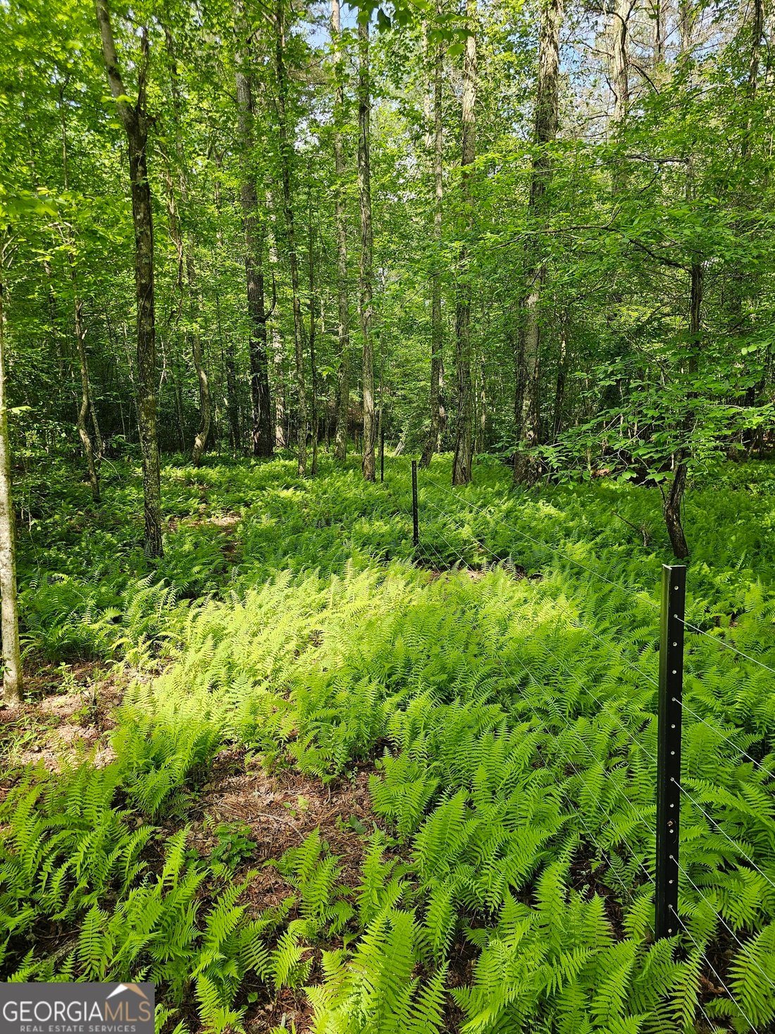 Land in Dahlonega, Georgia, United States 3 - 17954718