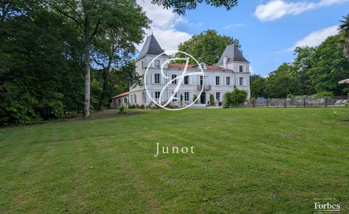 Castle in Moncaut, Nouvelle-Aquitaine, France 1