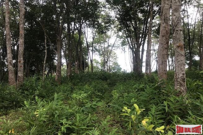 Land in Phuket, Phuket, Thailand 4 - 18227743