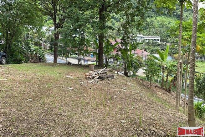Land in Pa Tong, Phuket, Thailand 4 - 18228157