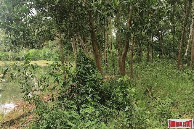 Land in Tambon Khok Kloi, Phang-nga, Thailand 5 - 18228045
