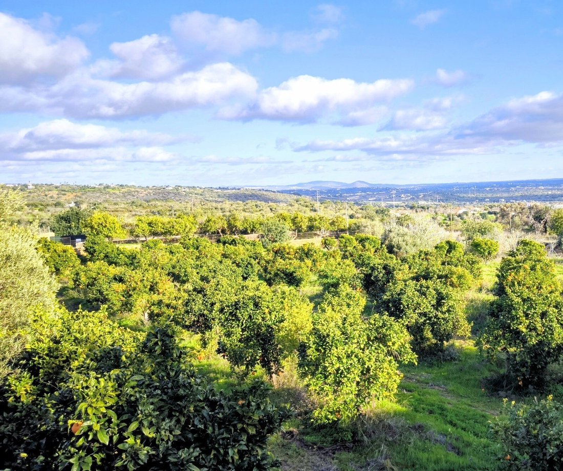 Land in Ferreiras, Algarve, Portugal 5 - 18223999