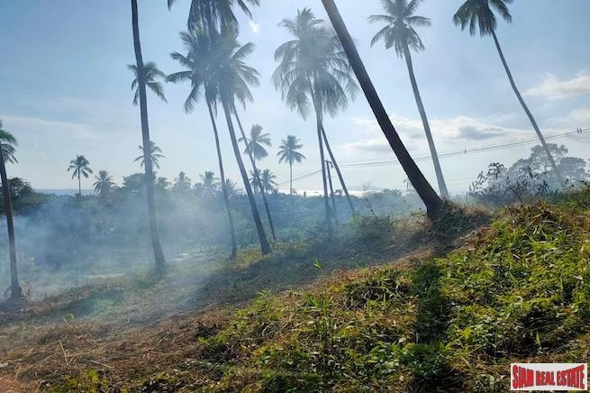 Land in Koh Samui, Surat Thani, Thailand 3 - 18228187