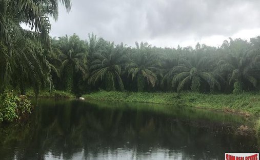 Land in Takdat, Phang-nga, Thailand 1