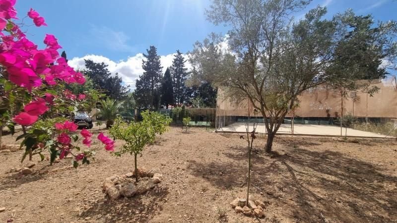 Chalet in Llucmajor, Balearic Islands, Spain 4 - 17738439